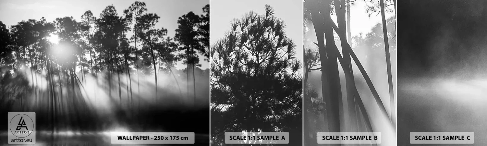 Prøve Fototapet Selvklæbende Deluxe Sticker - Ustoppelig sol - Landskab, Skov, Natur - 100x30 cm