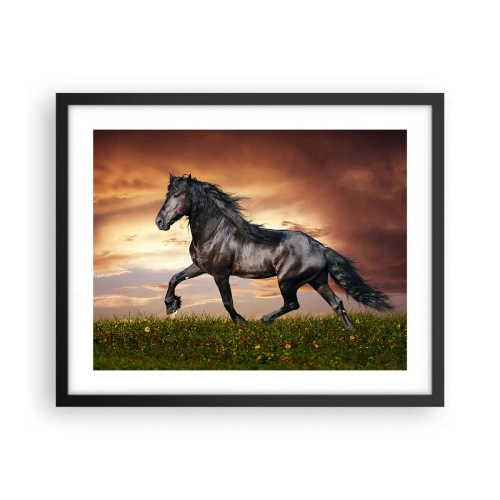 Plakat i sort ramme - Sort prins - 50x40 cm