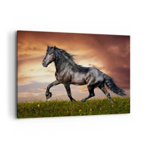 Lærredstryk - Billede på lærred - Sort prins - 100x70 cm
