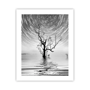 Plakat - En natursymfoni - 40x50 cm