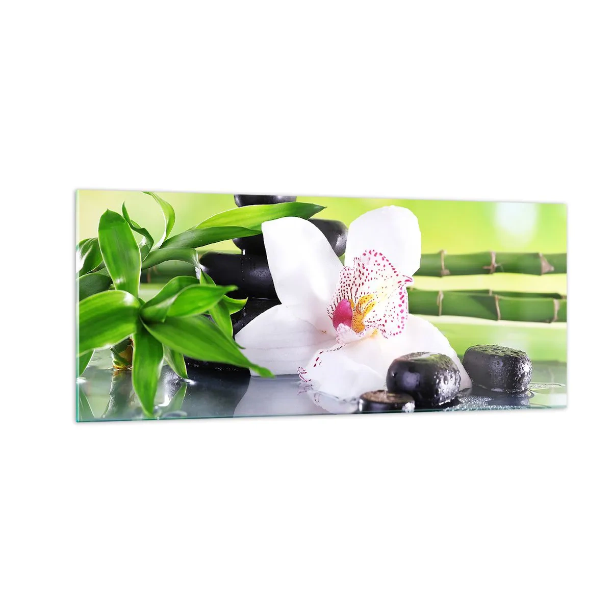 Billede på glas - Kølig friskhed - 100x40 cm