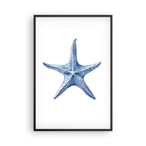 Plakat i sort ramme - Havets stjerne - 61x91 cm