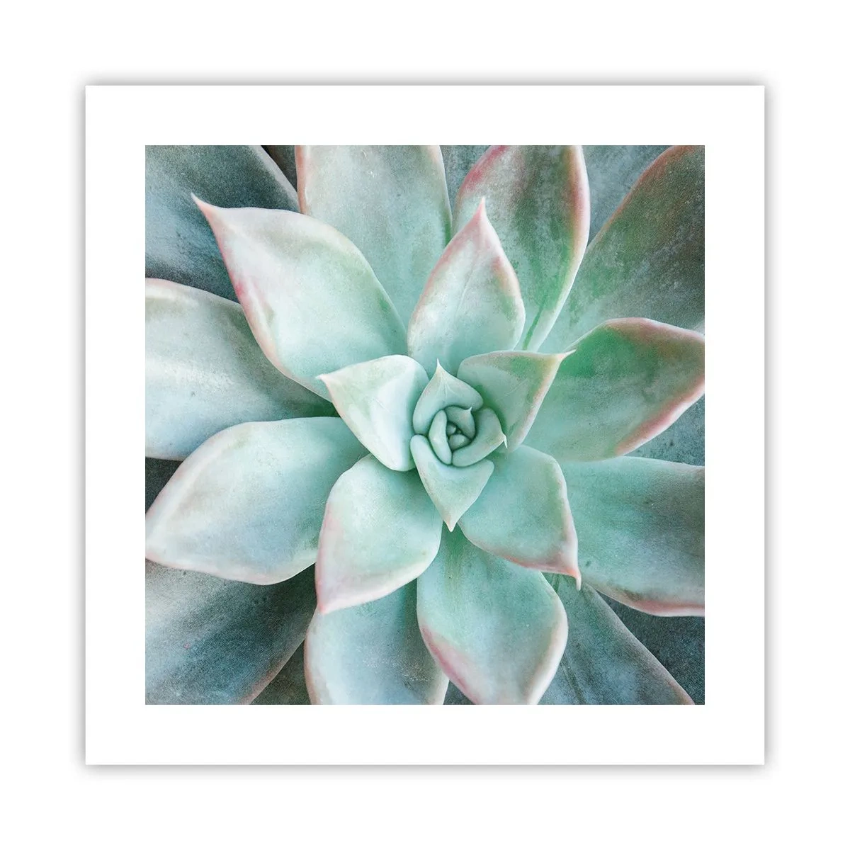 Plakat - Hjertet af ørkenen - 40x40 cm