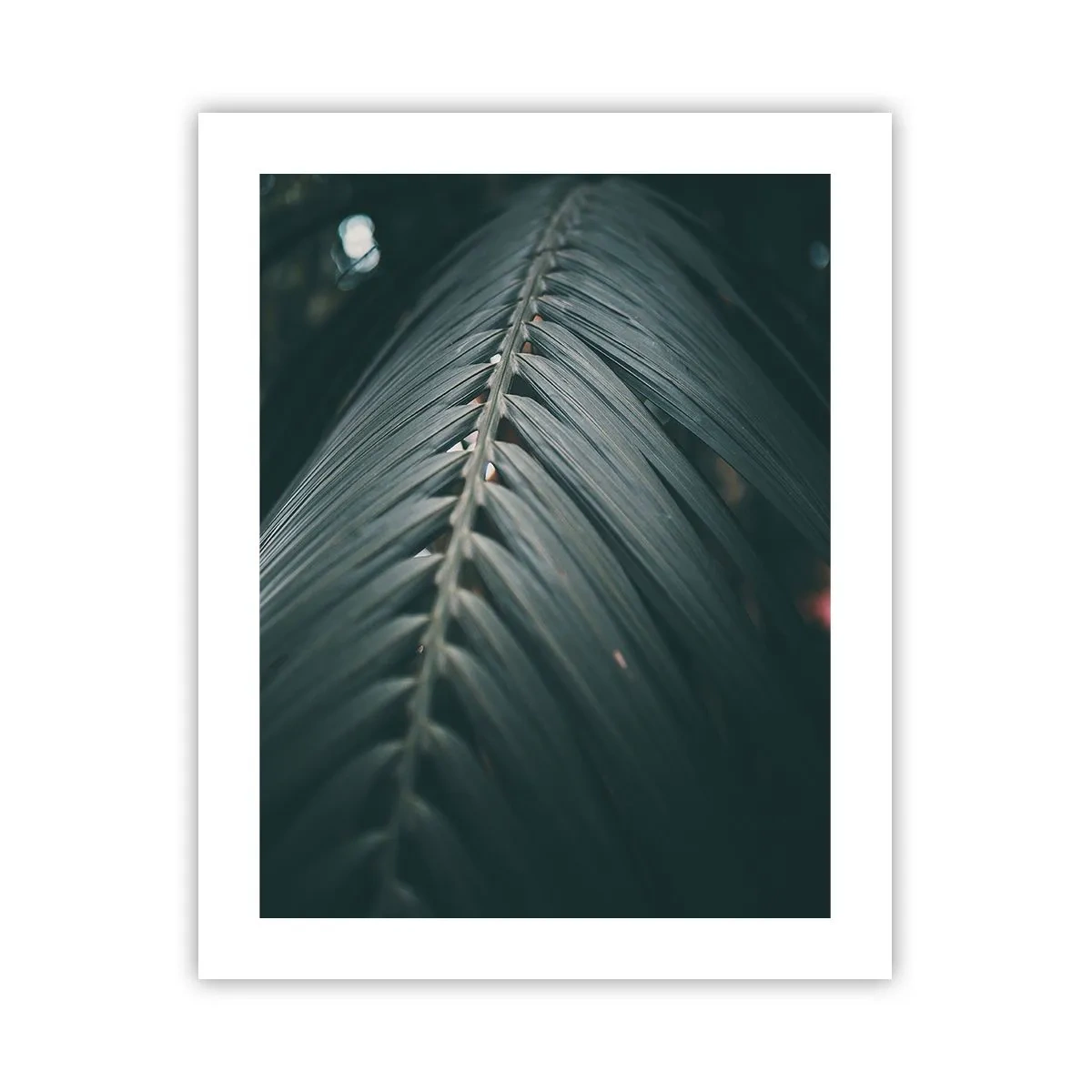 Plakat - Naturens præcision - 40x50 cm