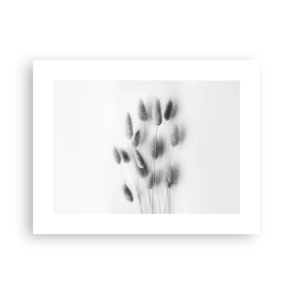 Plakat - Dens bløde græs - 40x30 cm