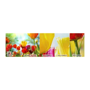Prøve Fototapet Premium Canvas - Alle solens farver - Tulipaner, Blomster, Eng - 100x30 cm