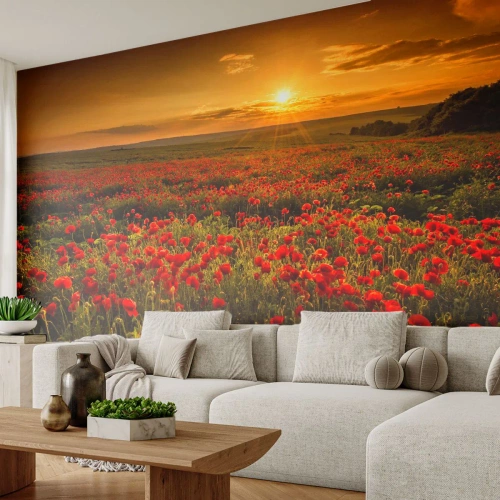 Fototapet Selvklæbende Deluxe Sticker - Blandt bølgerne af raslende enge, blandt flodblomster - Landskab, Blomster, Valmuer - 100x70 cm