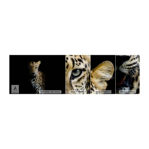 Prøve Fototapet Selvklæbende Deluxe Sticker - Mørk skønhed - Dyr, leopard, Vild kat - 100x30 cm