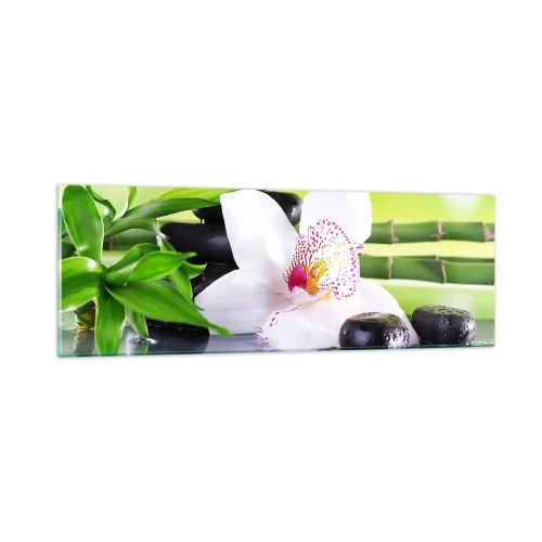 Billede på glas - Kølig friskhed - 90x30 cm