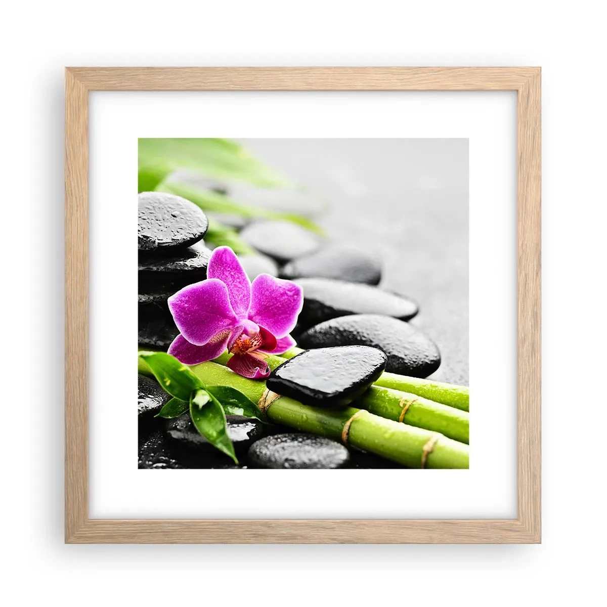 Plakat i ramme af lyst egetræ - I en fredelig balance - 30x30 cm