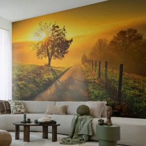 Fototapet på mål Premium Canvas - Kære eftermiddag - Landskab, Grusvej, Eng