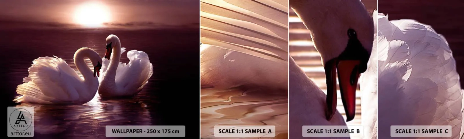 Fototapet Prøve Standard Eco - Indtil døden skiller os ad - Dyr, Landskab, Svaner - 100x30 cm