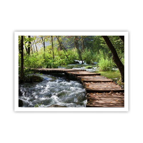 Plakat - Over en skummende kaskade - 100x70 cm