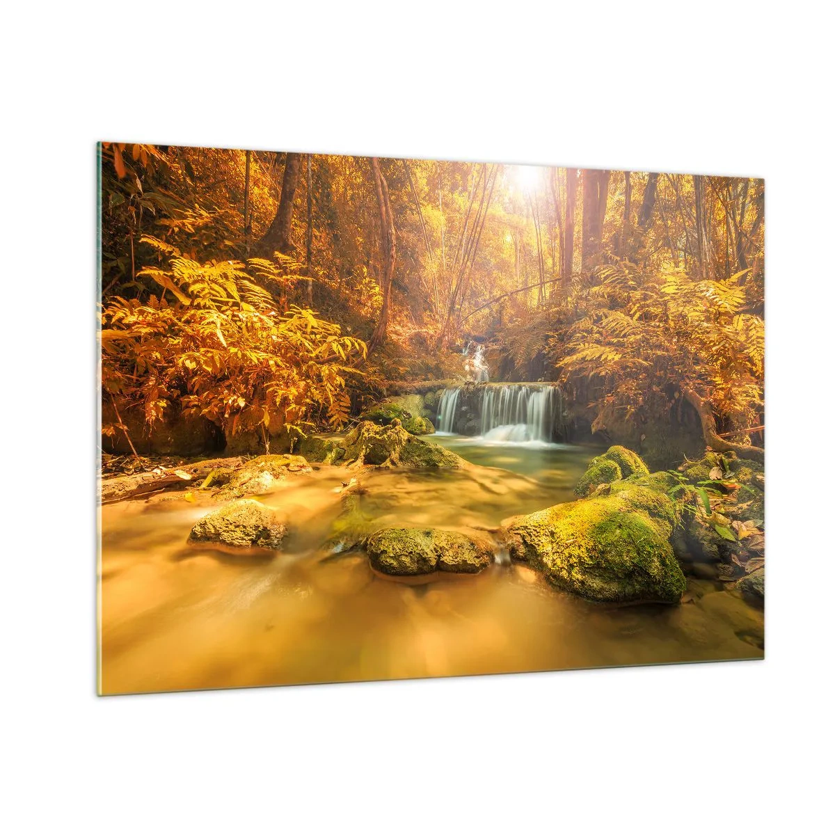 Billede på glas - Skovkaskade i guld - 100x70 cm
