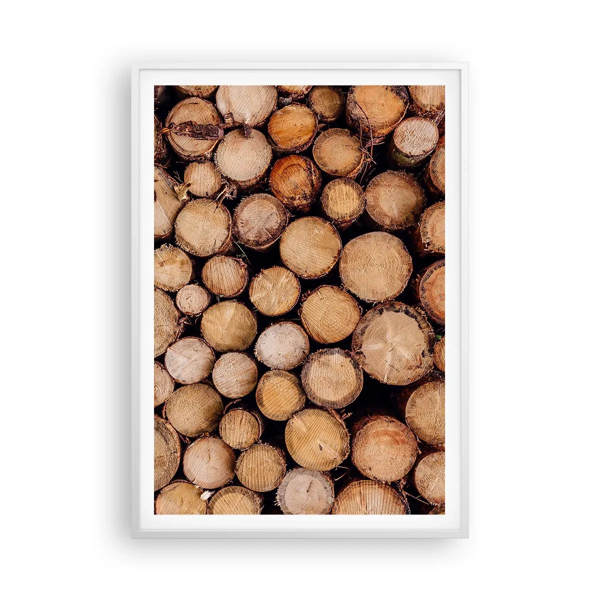 Plakat i hvid ramme - En ny begyndelse - 70x100 cm