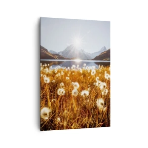 Lærredstryk - Billede på lærred - Hårdhed af sten, blødhed af græs - 70x100 cm