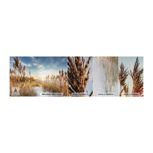 Prøve Fototapet Premium Canvas - Nordstrand - Landskab, Hav, Strand - 100x30 cm