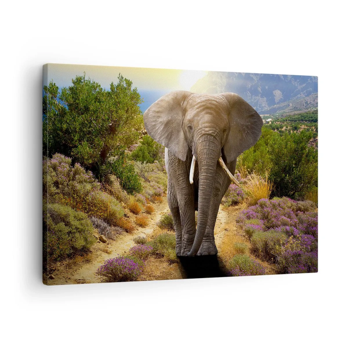 Lærredstryk - Billede på lærred - En afrikansk elefant mod et savanne- og bjerglandskab - 70x50cm - Sådan så Eden ud - Moderne vægdekoration til stue og soveværelse ARTTOR