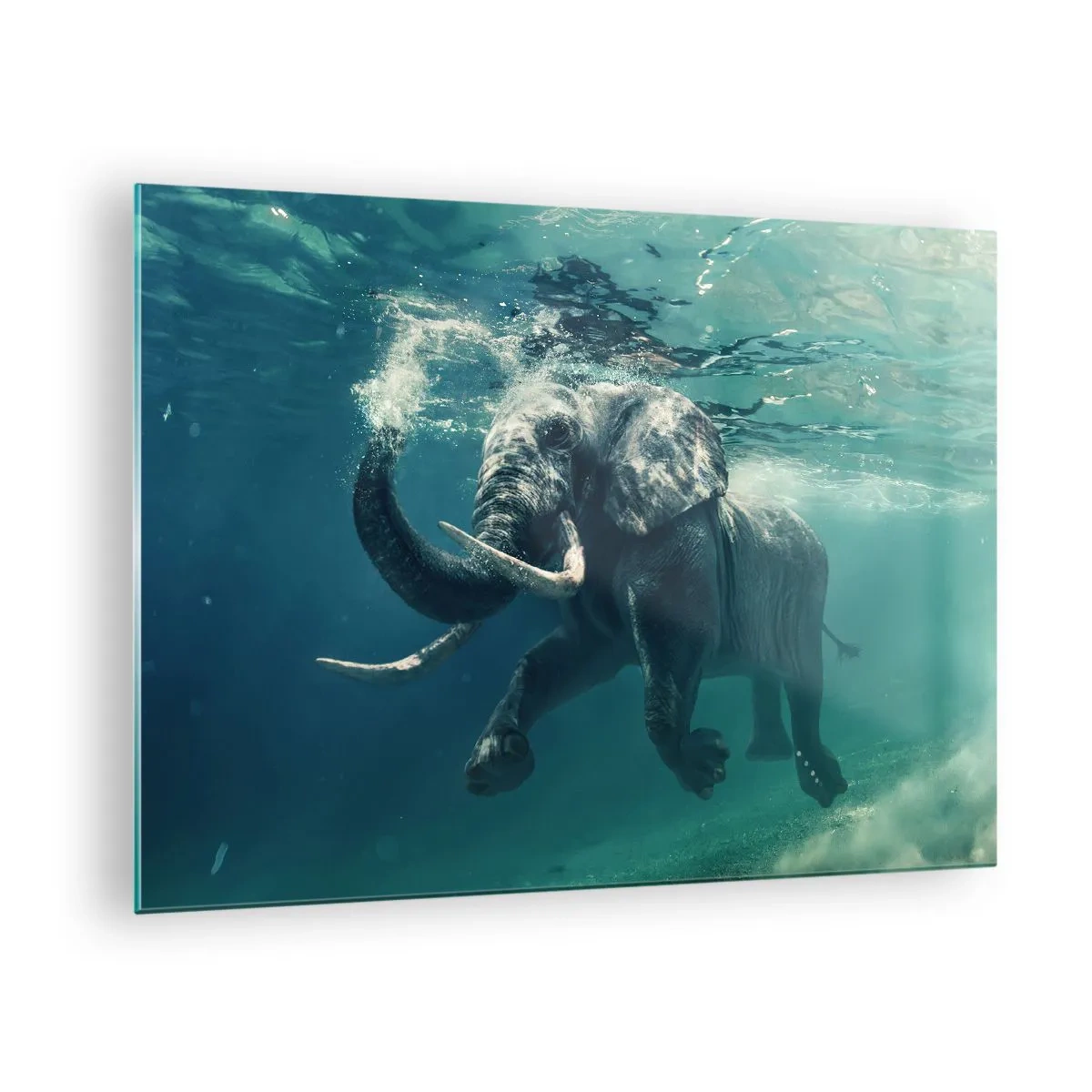 Billede på glas - En elefant, der svømmer under vandet i det blå hav - 70x50cm - Alle kan lide at svømme - Moderne vægdekoration til stue og soveværelse ARTTOR