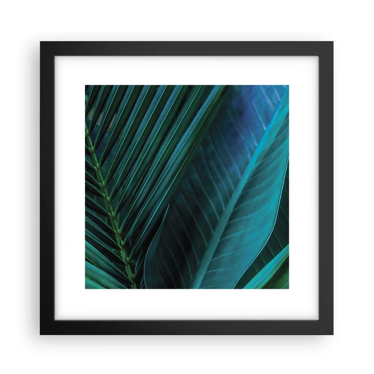 Plakat i sort ramme - Anatomi af en grøn - 30x30 cm