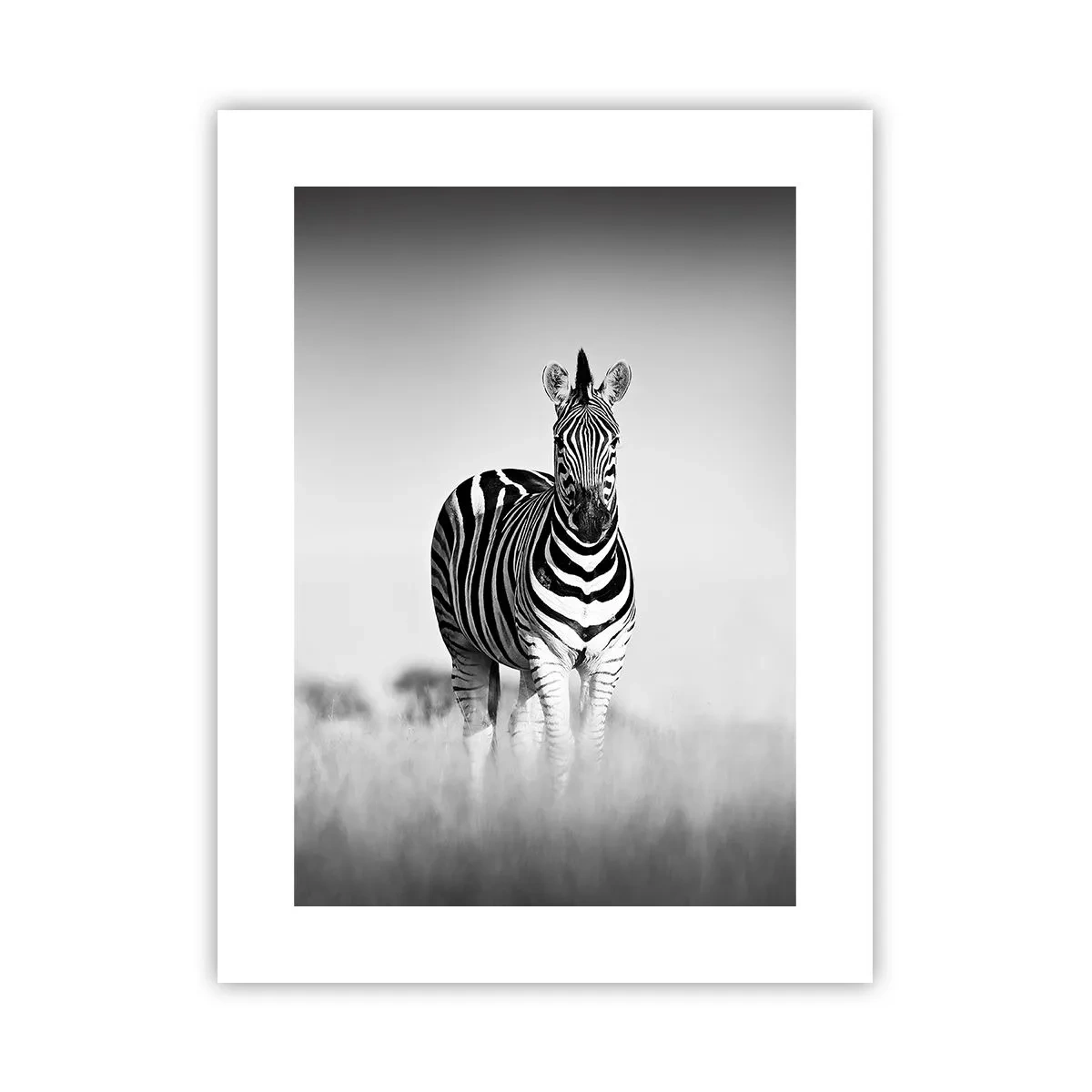 Plakat - Og alligevel er verden sort og hvid - 30x40 cm