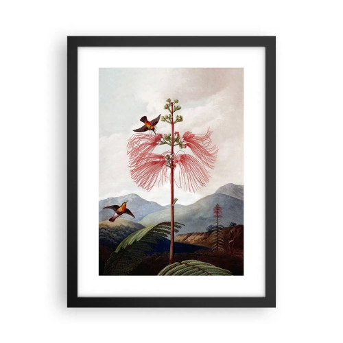 Plakat i sort ramme - I et tropisk paradis - 30x40 cm
