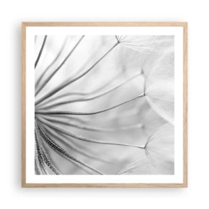 Plakat i ramme af lyst egetræ - Blæsende drager - 60x60 cm