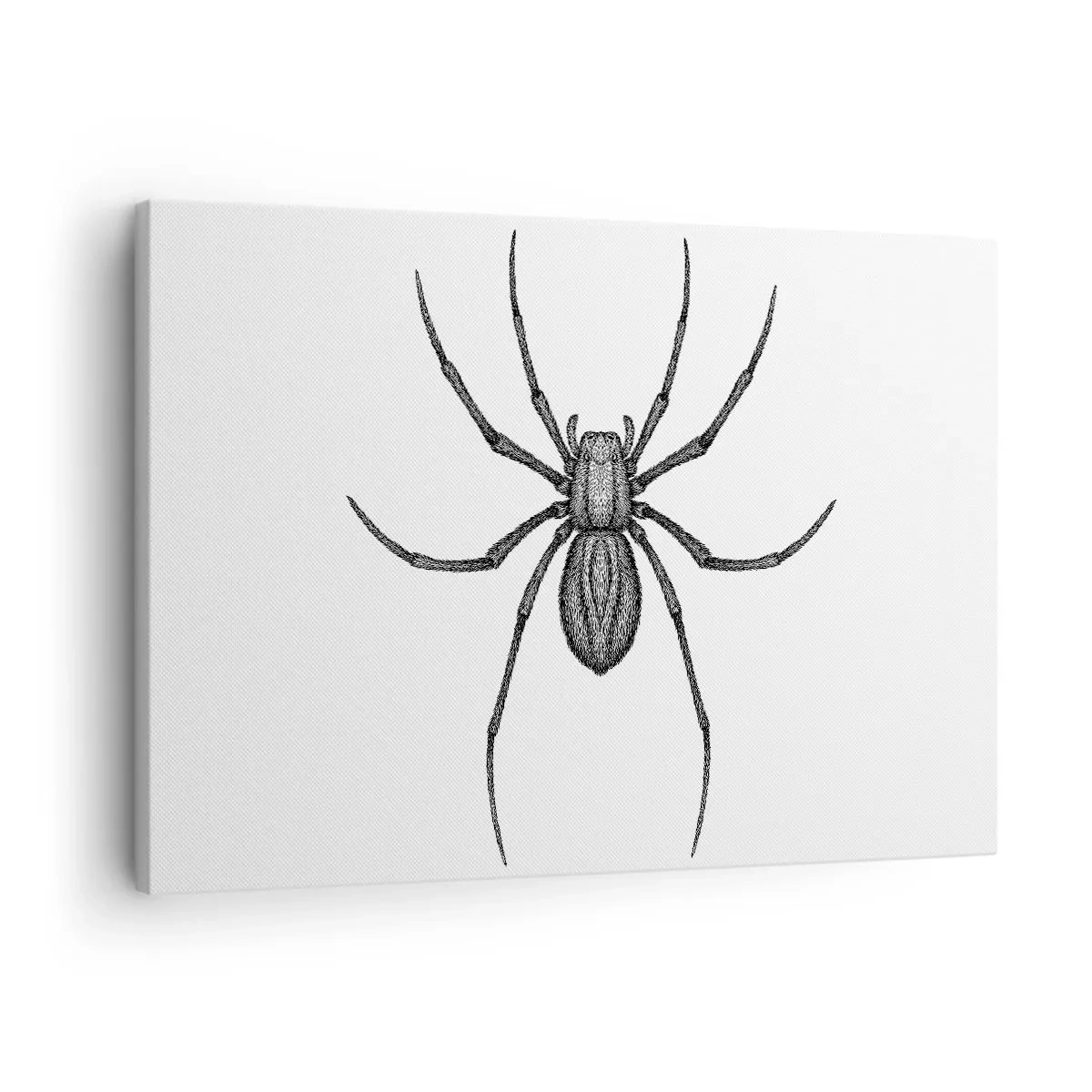 Lærredstryk - Billede på lærred - Foruroligende præcision - 70x50 cm
