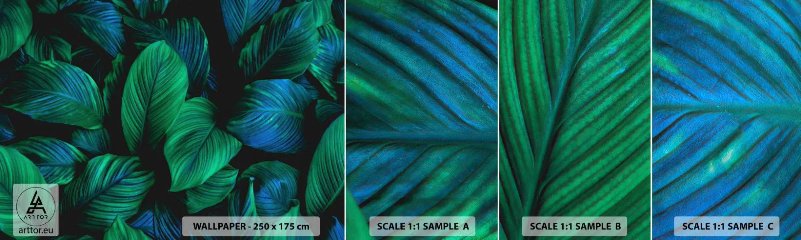 Fototapet Prøve Standard Eco - I den grønne flok - Grønne blade, Tropisk plante, Natur - 100x30 cm