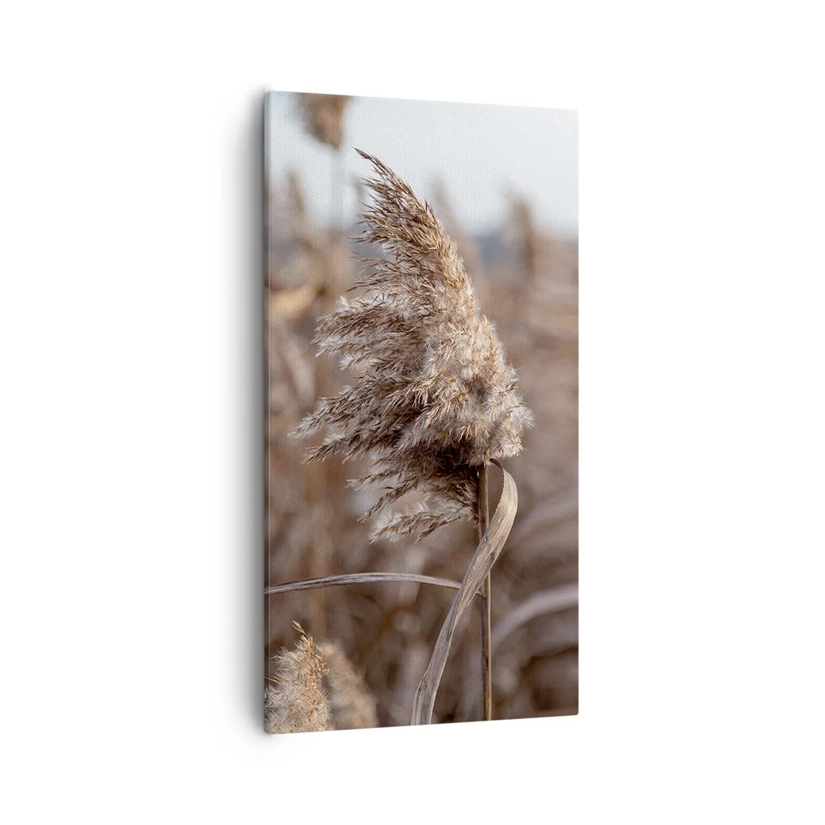 Lærredstryk - Billede på lærred - Tid til at flyve væk med vinden - 55x100 cm