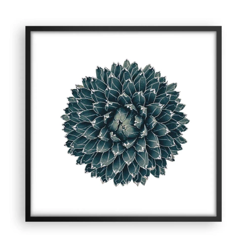 Plakat i sort ramme - Ørkenstjerne - 50x50 cm