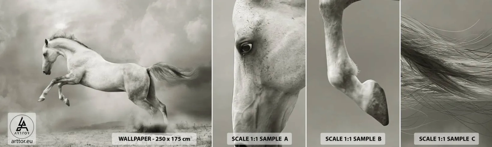 Prøve Fototapet Selvklæbende Deluxe Sticker - Mellem vågenhed og drømme - Dyr, Hest, Natur - 100x30 cm