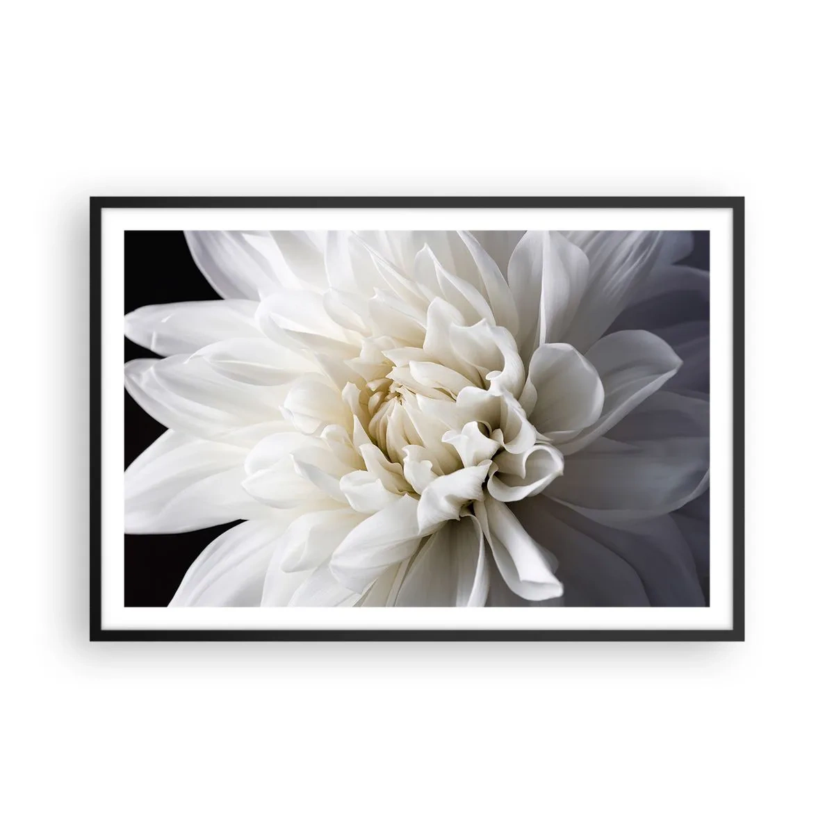 Plakat i sort ramme - Morgenbrud - 91x61 cm