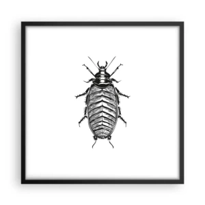 Plakat i sort ramme - Sikke et eksemplar! - 50x50 cm