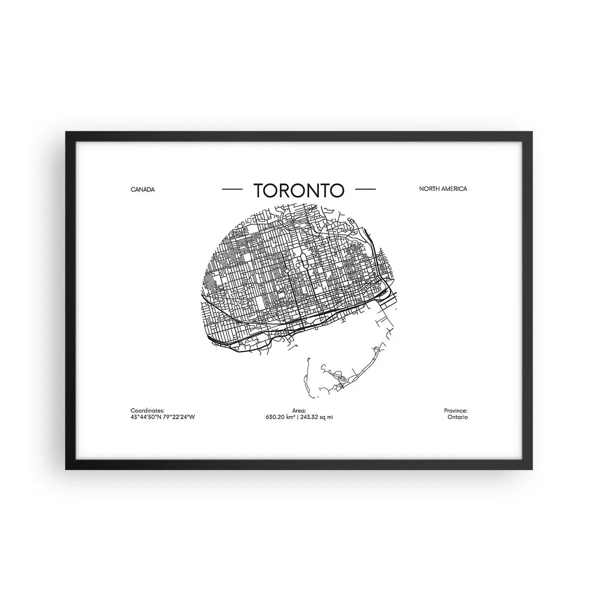 Plakat i sort ramme - Anatomi af Toronto - 70x50 cm
