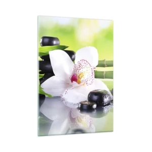 Billede på glas - Kølig friskhed - 50x70 cm