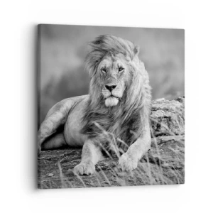 Lærredstryk - Billede på lærred - Kongelig siesta - 30x30 cm