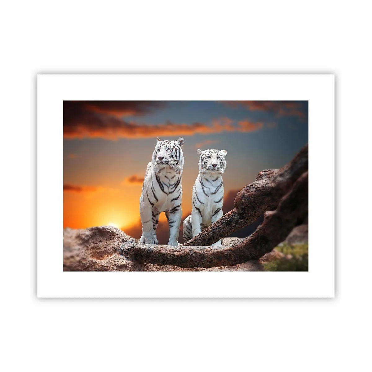 Plakat - Ligesom i Narnia - 40x30 cm