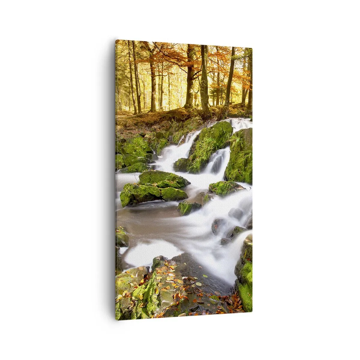 Lærredstryk - Billede på lærred - Bystrøm gennem efterårsskoven - 55x100 cm