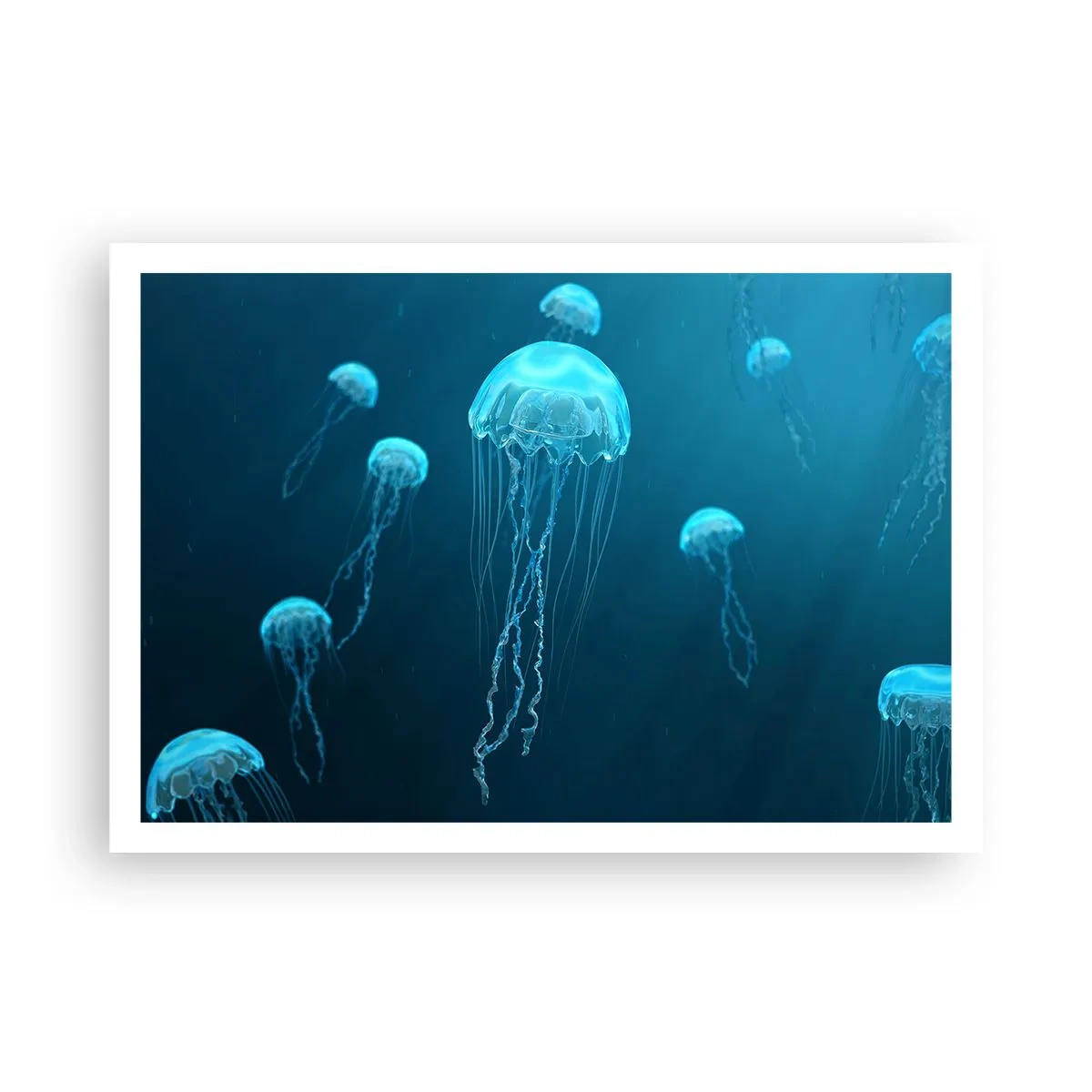 Plakat - Havets dans - 100x70 cm