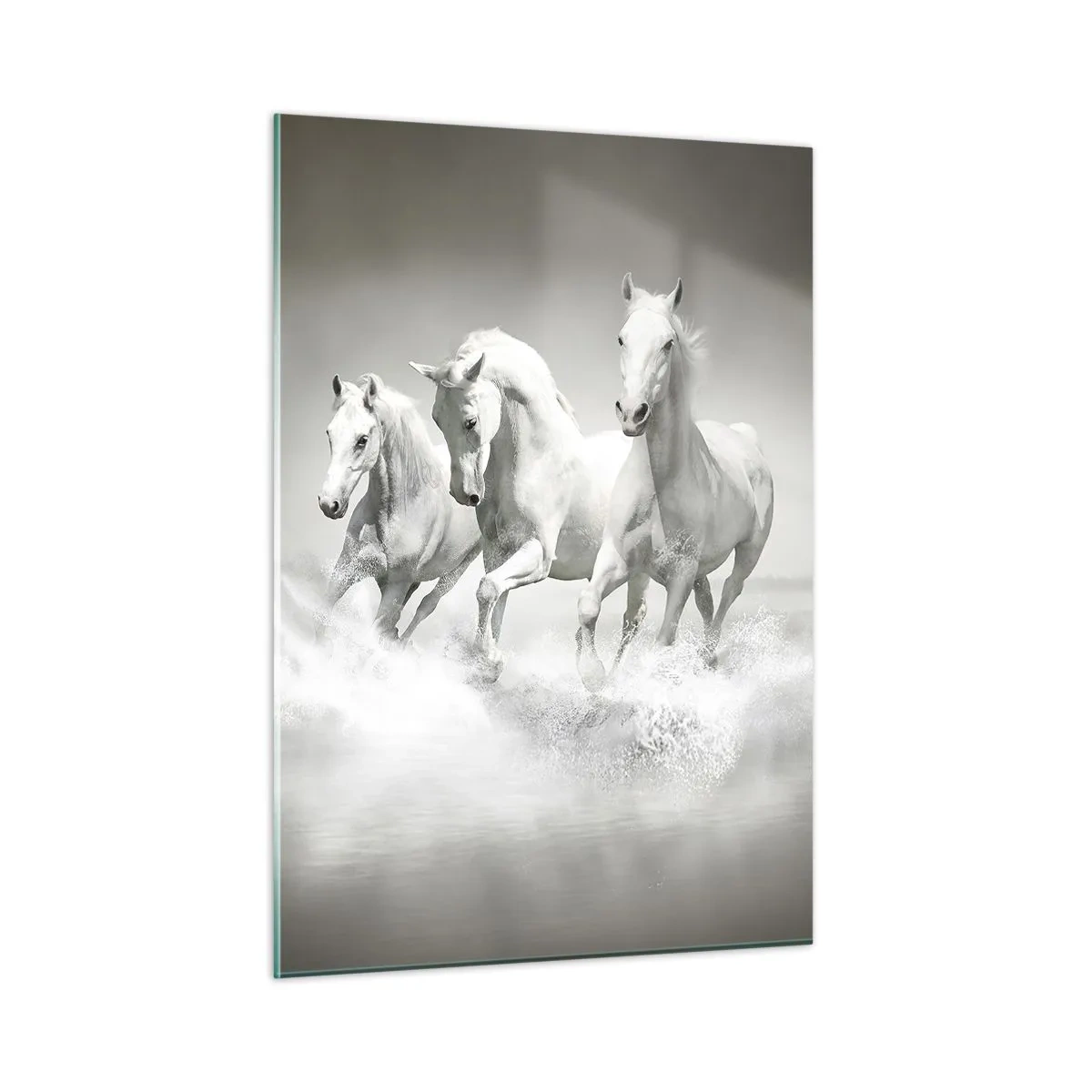 Billede på glas - Hvid galskab - 50x70 cm