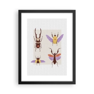 Plakat i sort ramme - Insekternes verden - 30x40 cm