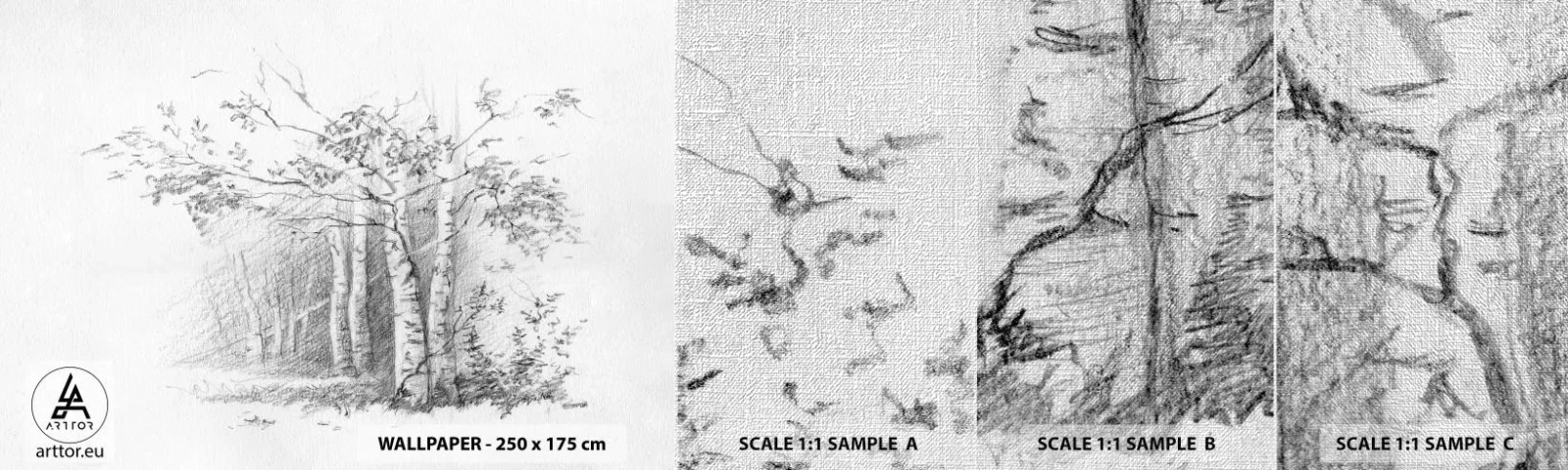 Prøve Fototapet Premium Canvas - Lyset fra birkeskoven - Skov, Birk, Træer - 100x30 cm