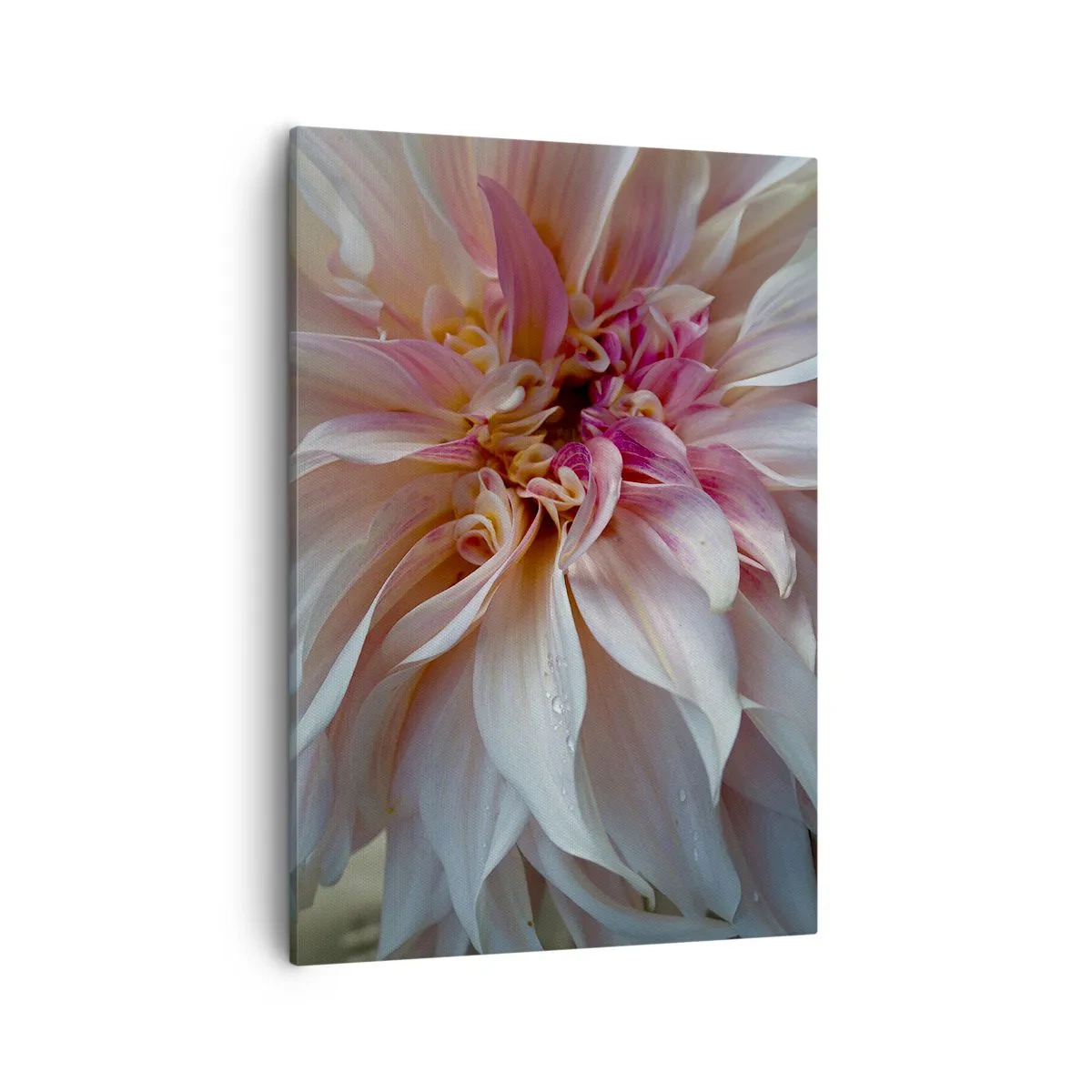 Lærredstryk - Billede på lærred - Blomstrende friskhed - 50x70 cm