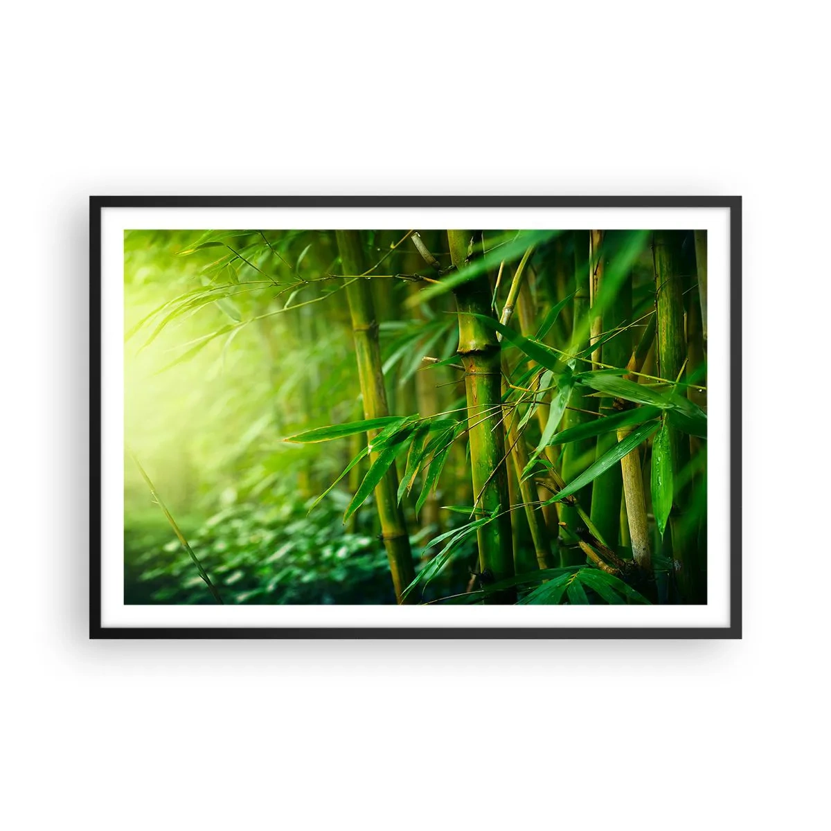 Plakat i sort ramme - Lær selve det grønne at kende - 91x61 cm