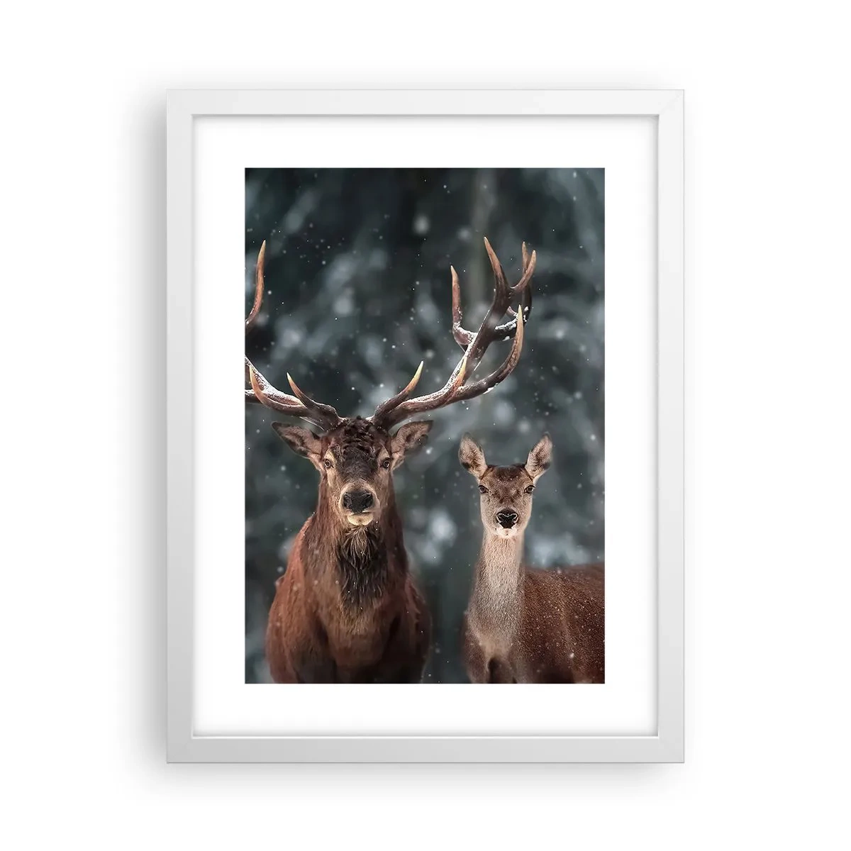 Plakat i hvid ramme - Skovens herre og hans kone - 30x40 cm