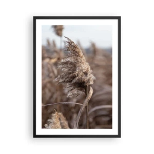 Plakat i sort ramme - Nærbillede af tørre siv i naturlige nuancer mod himlen - 50x70cm - Tid til at flyve væk med vinden - Moderne vægdekoration til stue og soveværelse ARTTOR