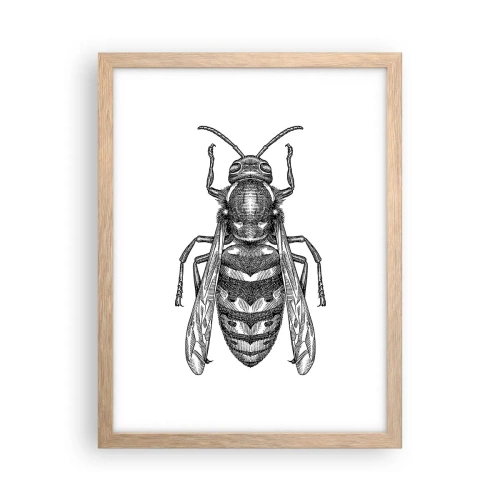 Plakat i ramme af lyst egetræ - Fra en insektplanet - 30x40 cm