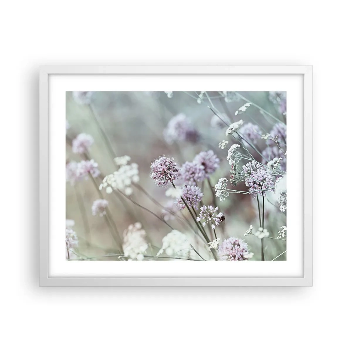 Plakat i hvid ramme - Søde filigranurter - 50x40 cm