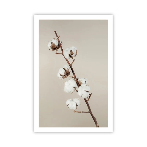 Plakat - Ved kilden til blødhed - 61x91 cm